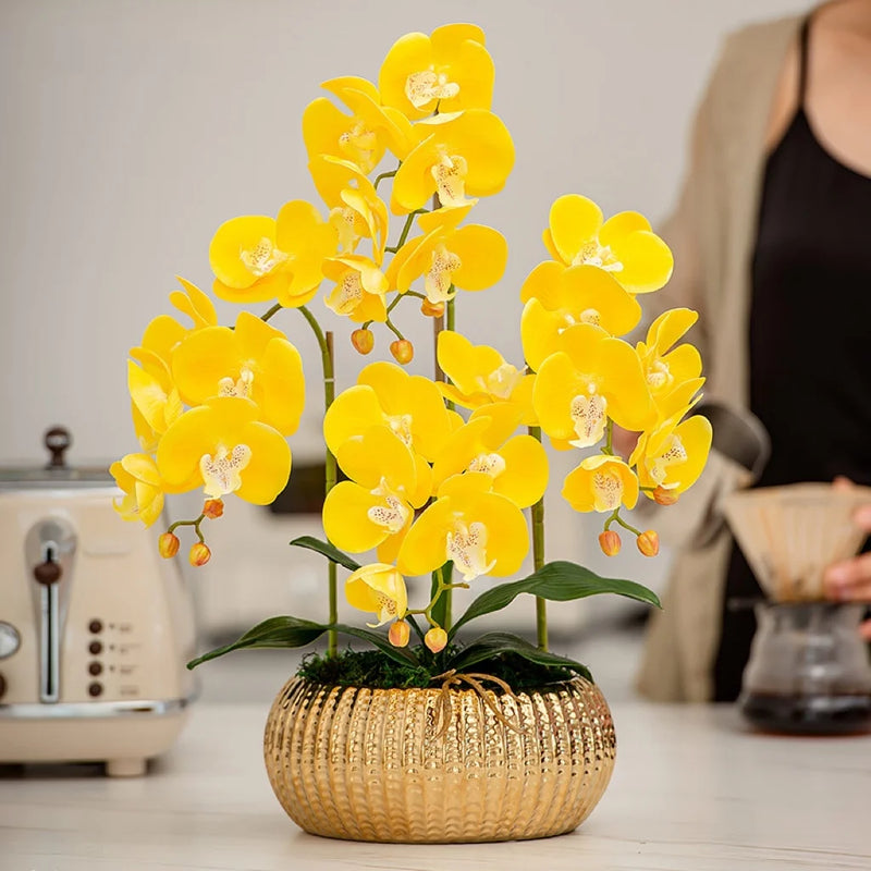 Arranjo Decorativo de Orquídeas com Vaso Dourado