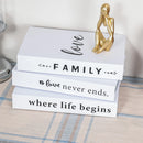 Conjunto Caixa Livro para Decoração - Livros Decorativos