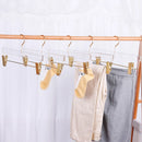 Conjunto de Cabides em  Acrílico Transparente com Presilhas – Organização Premium