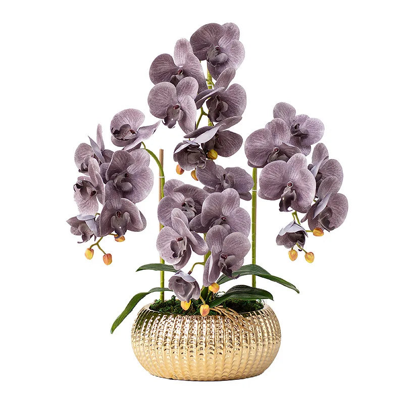 Arranjo Decorativo de Orquídeas com Vaso Dourado