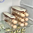 Suporte e Organizador de Ovos para Geladeira